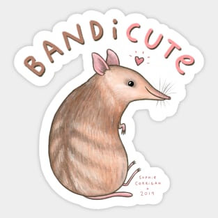 Bandicute Sticker